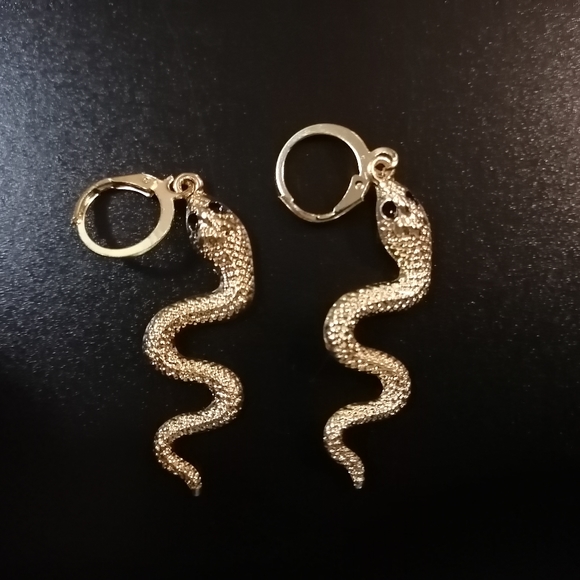 Snake metal earrings - Picture 2 of 4